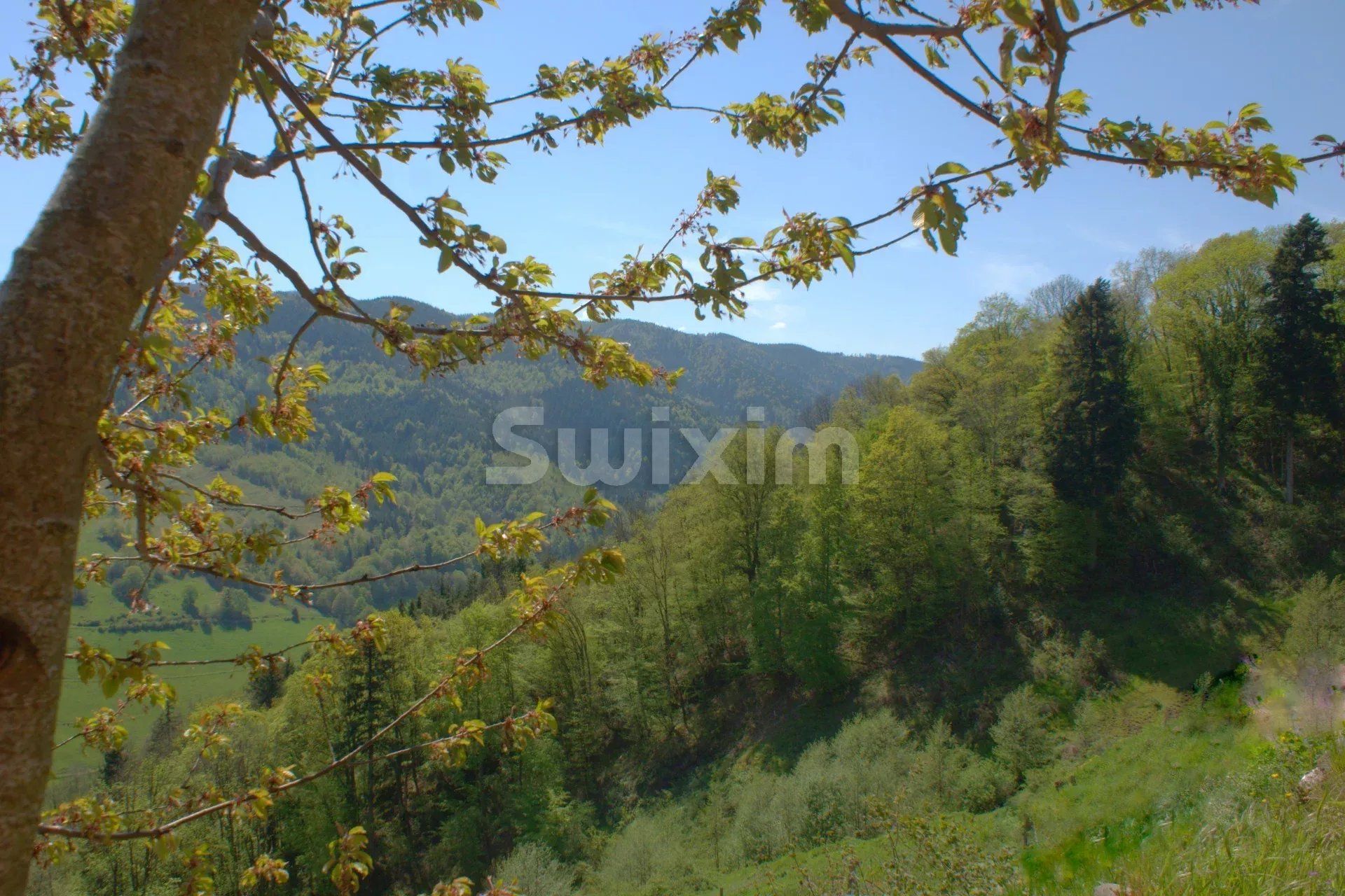 propriedade 23 Quartos para venda sobre Sainte-Croix-aux-Mines (68160)