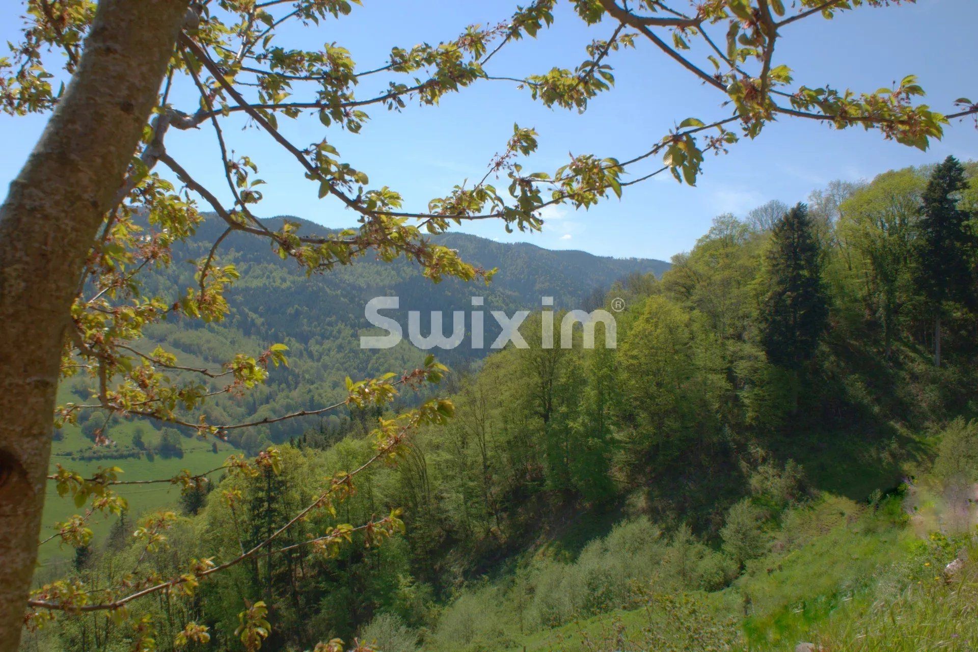 anwesen 23 Zimmer zum verkauf auf Sainte-Marie-aux-Mines (68160)
