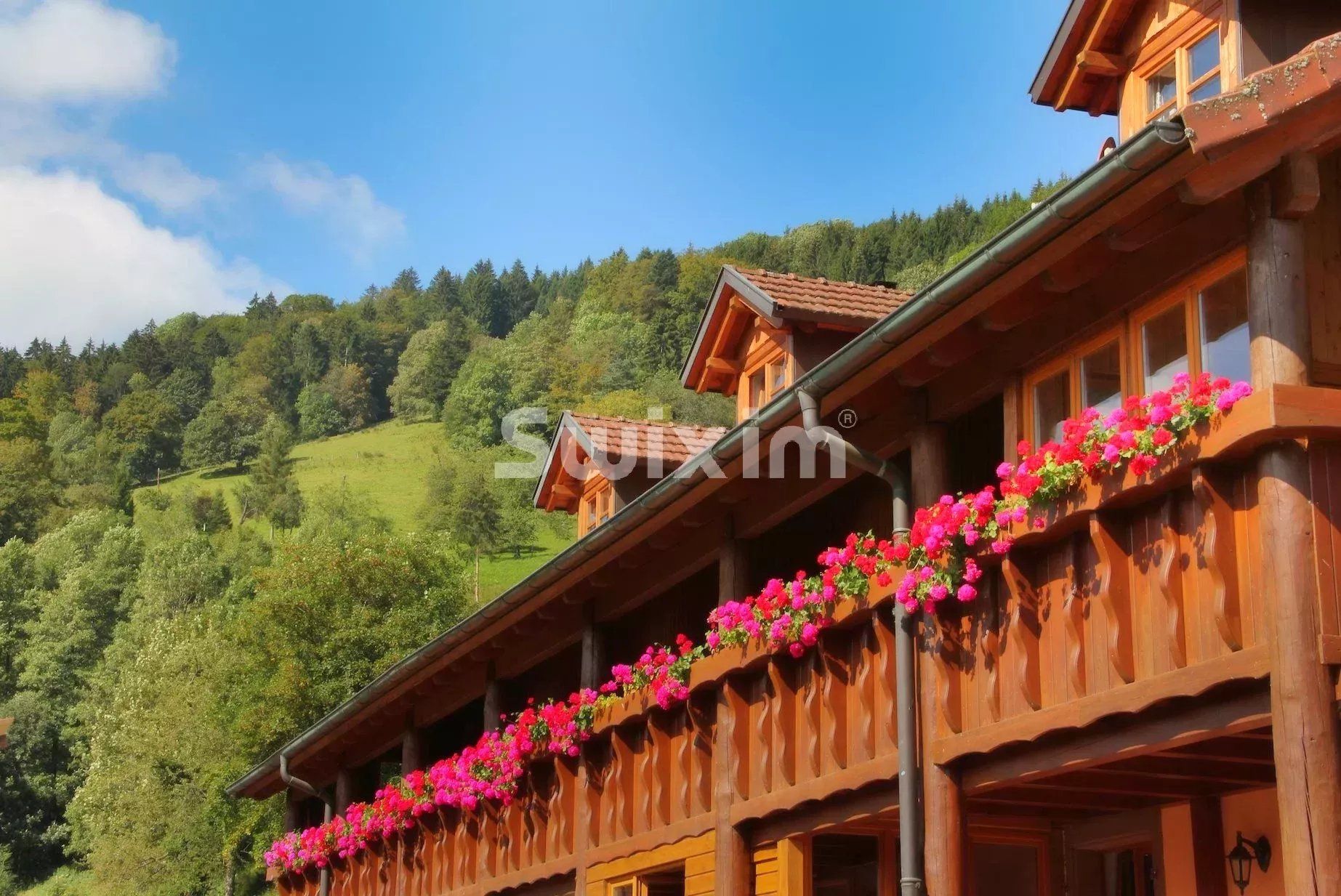 anwesen 23 Zimmer zum verkauf auf Sainte-Marie-aux-Mines (68160)