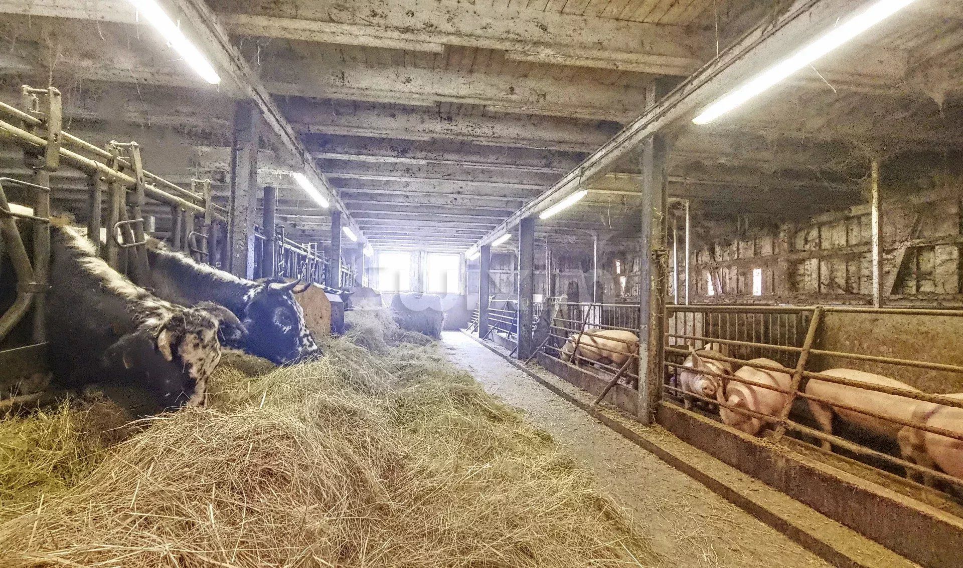 propriedade 23 Quartos para venda sobre Sainte-Croix-aux-Mines (68160)