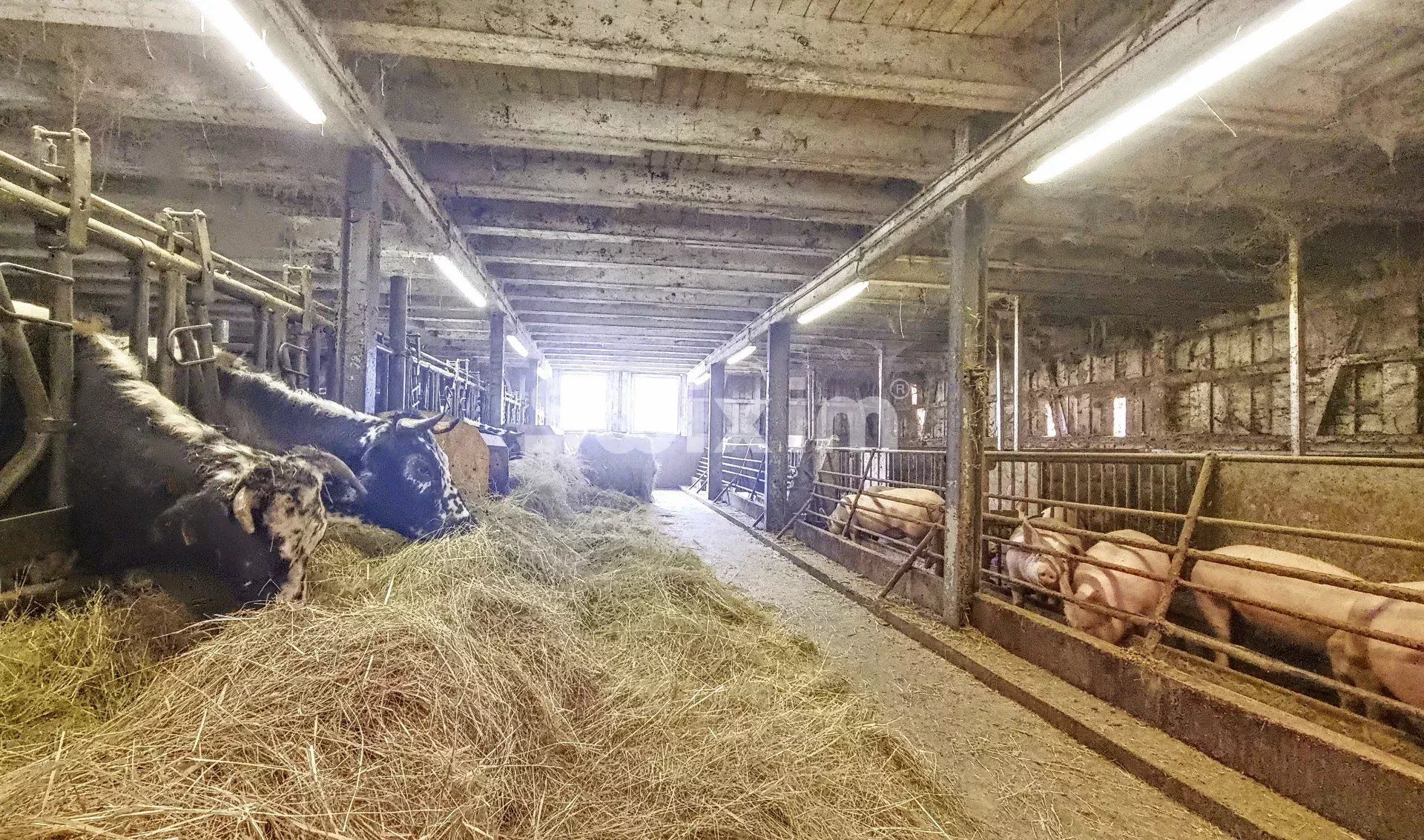 anwesen 23 Zimmer zum verkauf auf Sainte-Marie-aux-Mines (68160)