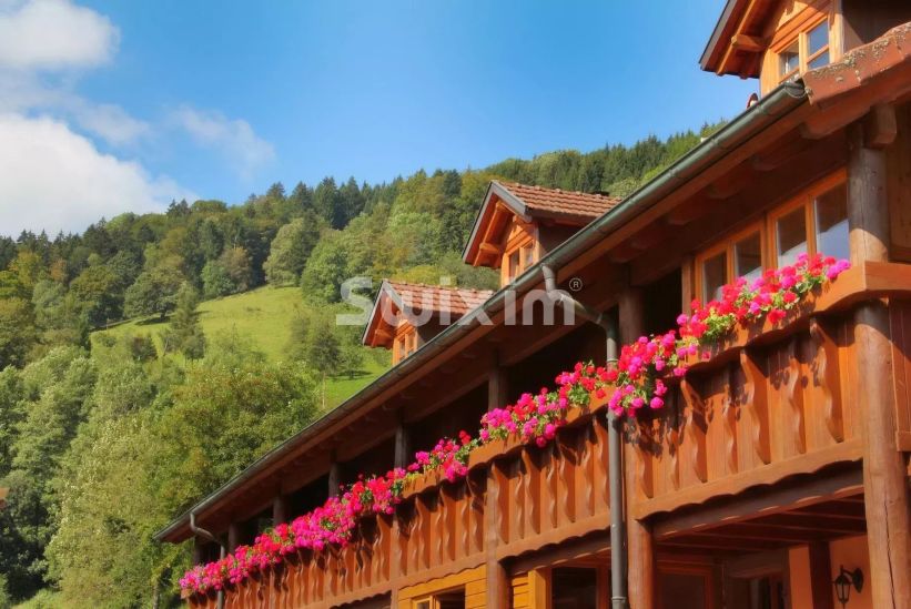 Verkauf Anwesen Sainte-Marie-aux-Mines 23&nbsp;Zimmer 491&nbsp;m²