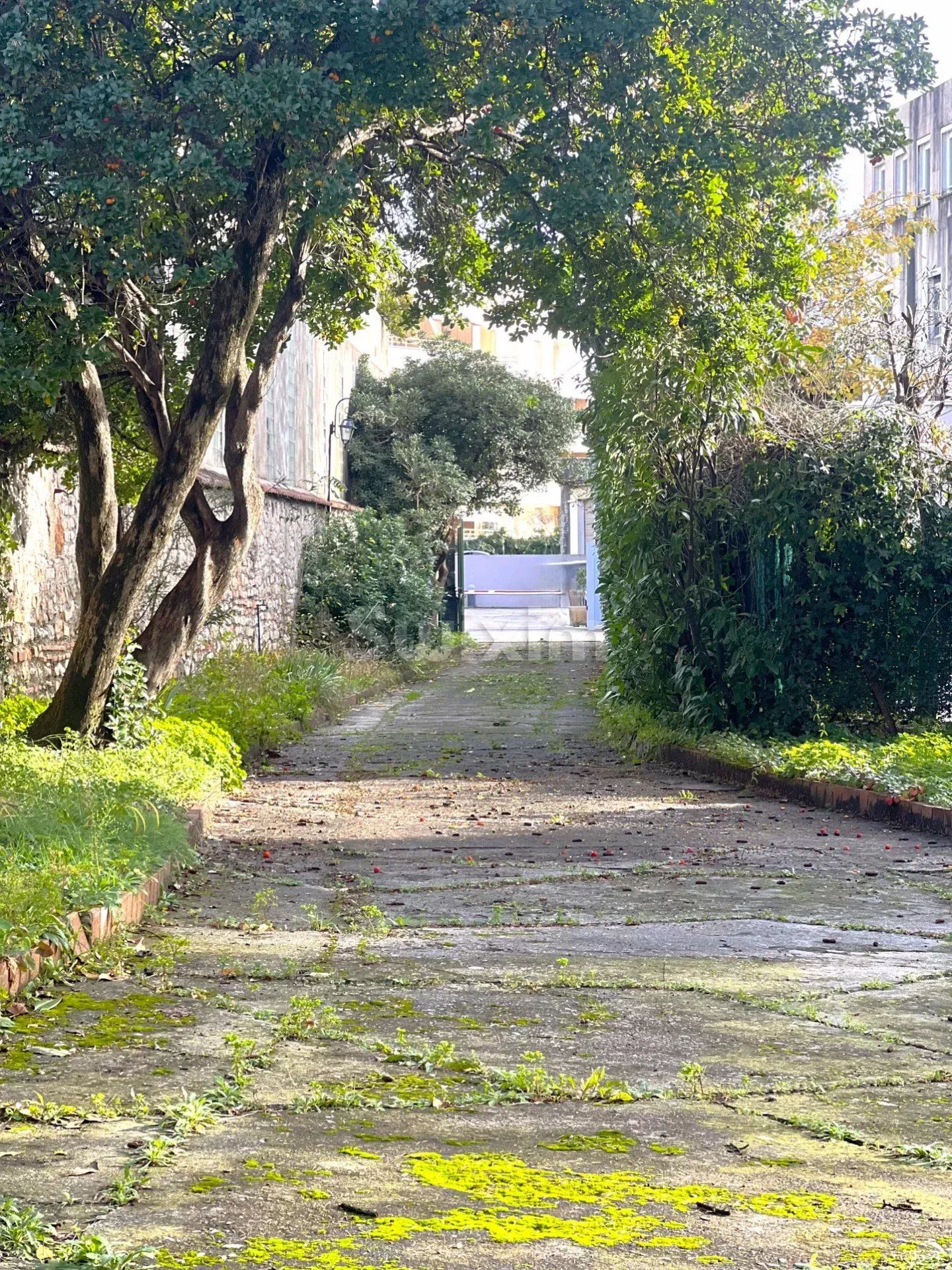 villa 12 Pièces en vente sur Alès (30100)