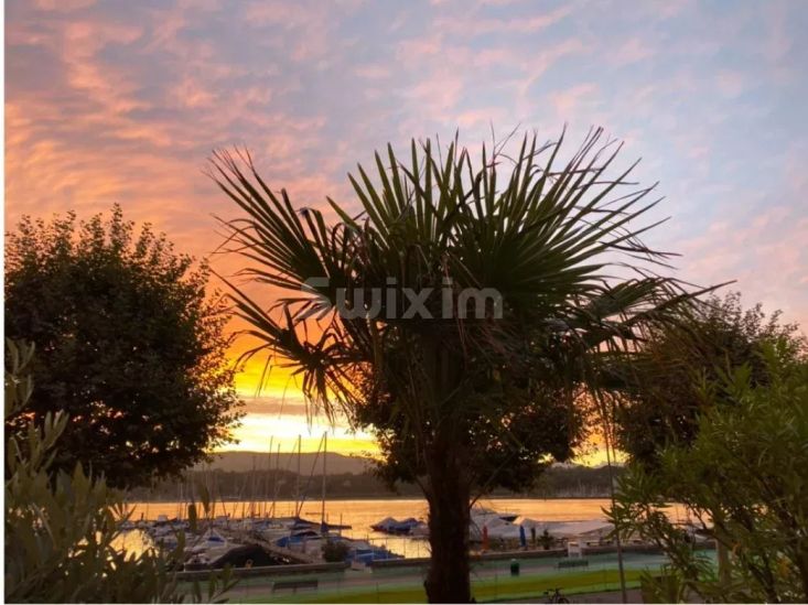 Location Bureaux Genève 6.5 Pièces 220 m²