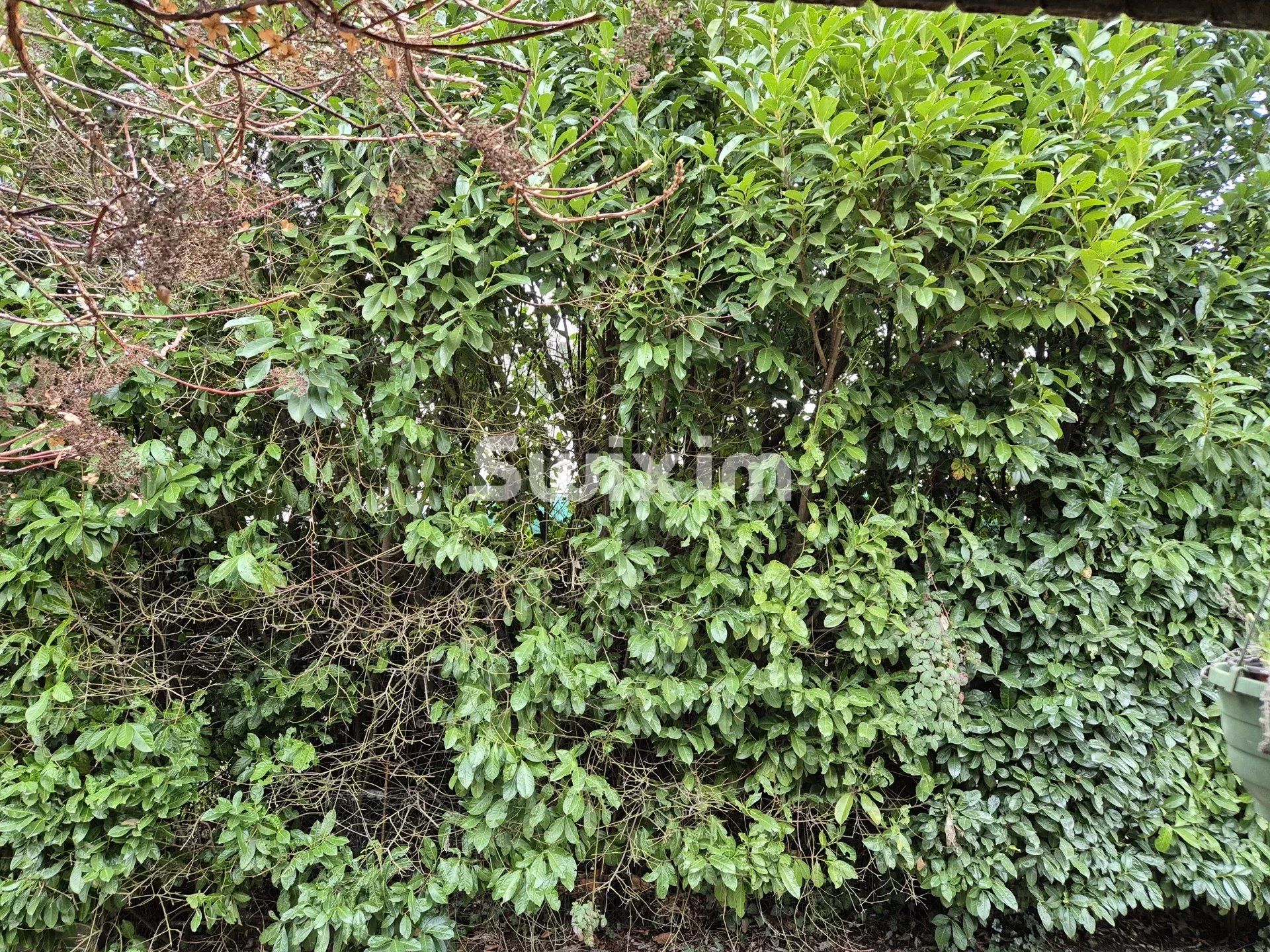 villa 7 Quartos para venda sobre Meyrin (1217)