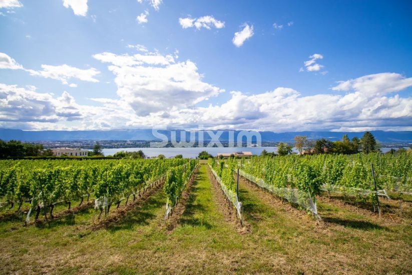 Vente Villa Cologny 8&nbsp;Pièces 400&nbsp;m²