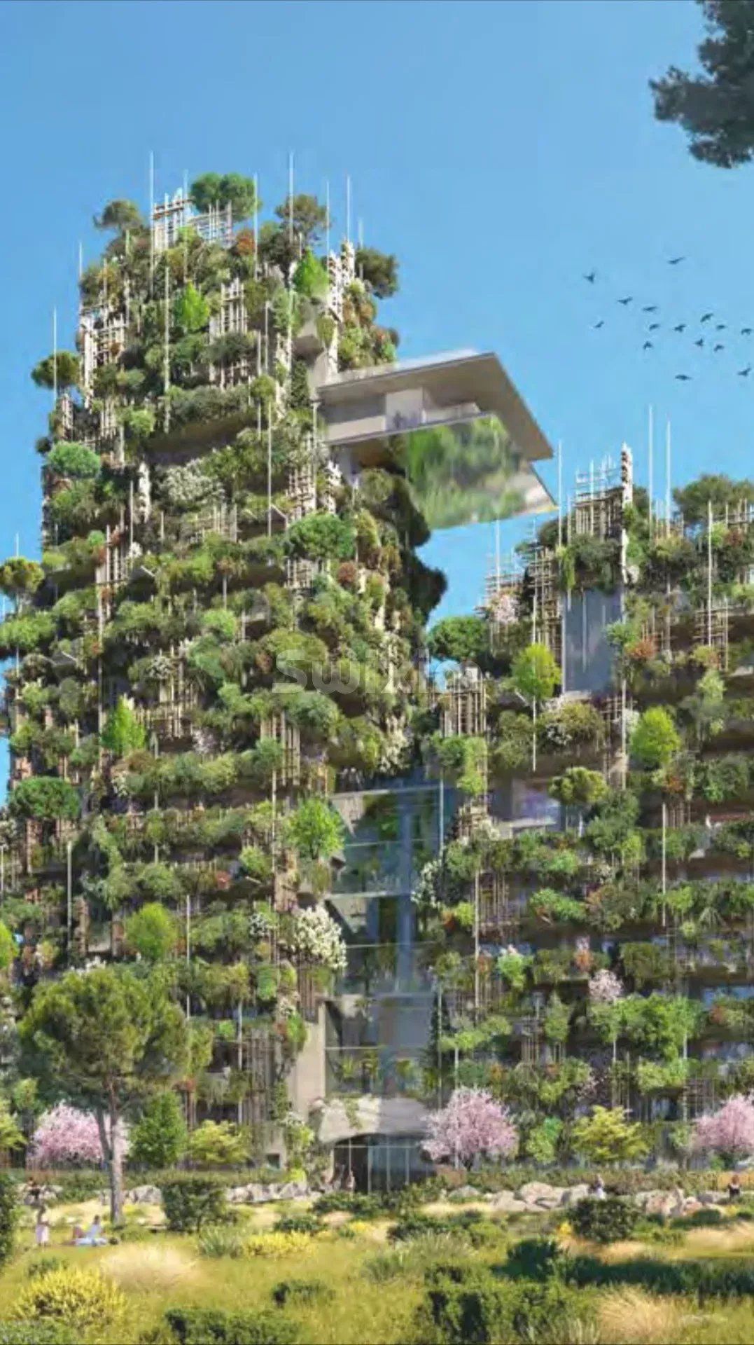 appartement 4 Pièces en vente sur Montpellier (34000)