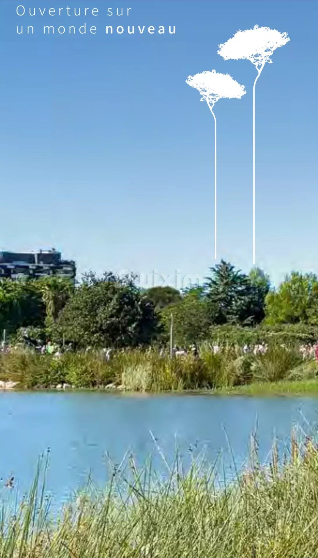 appartement 4 Pièces en vente sur Montpellier (34000)