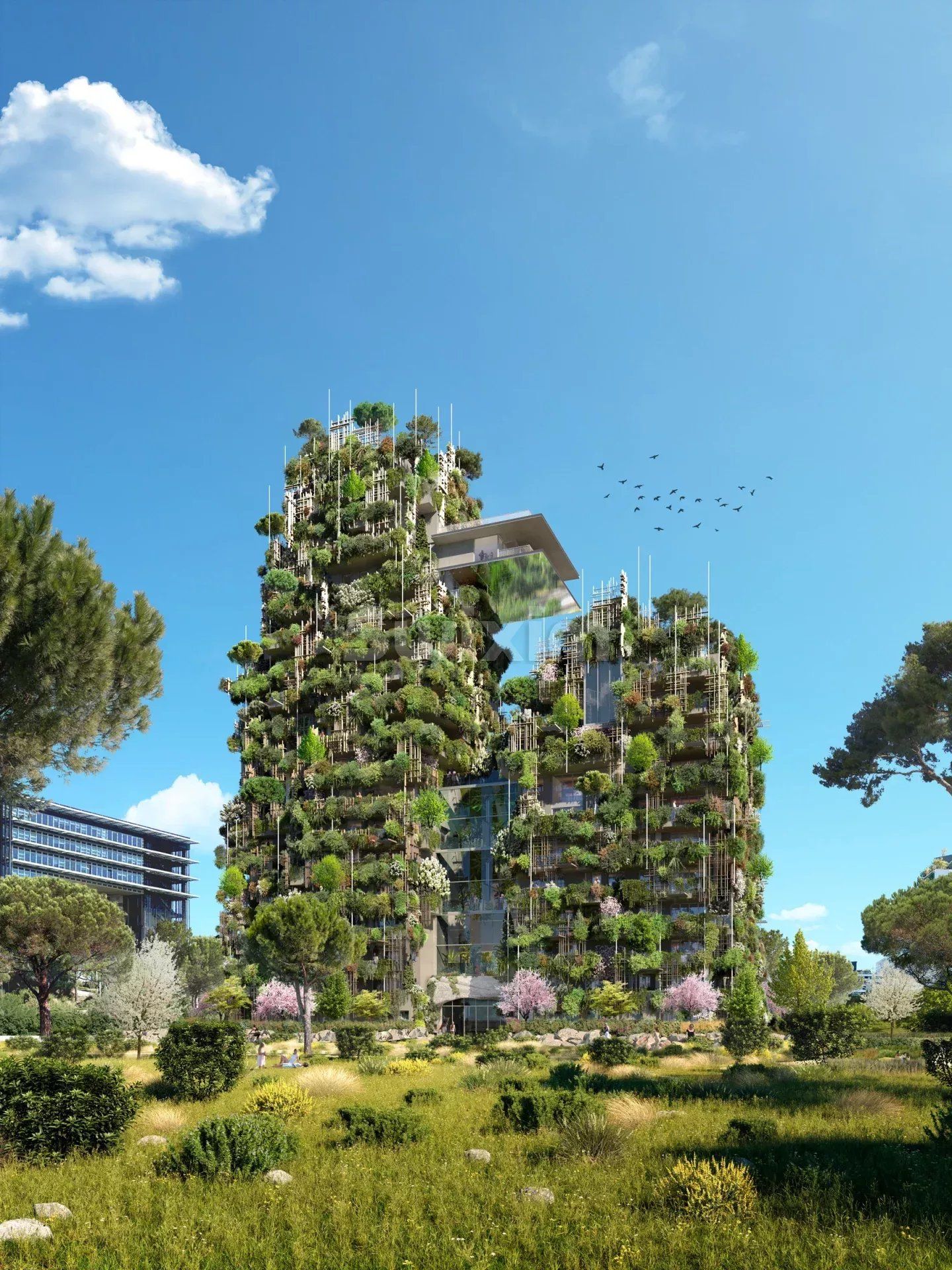 appartamento 3 Camere in vendita su Montpellier (34000)