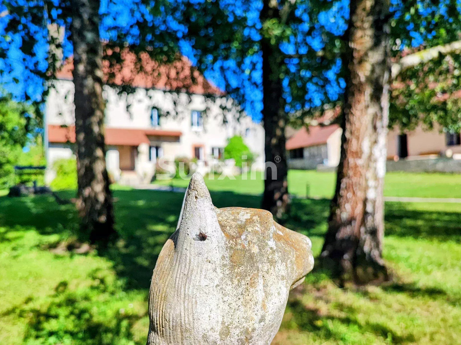 propriedade 8 Quartos para venda sobre Beaune (21200)