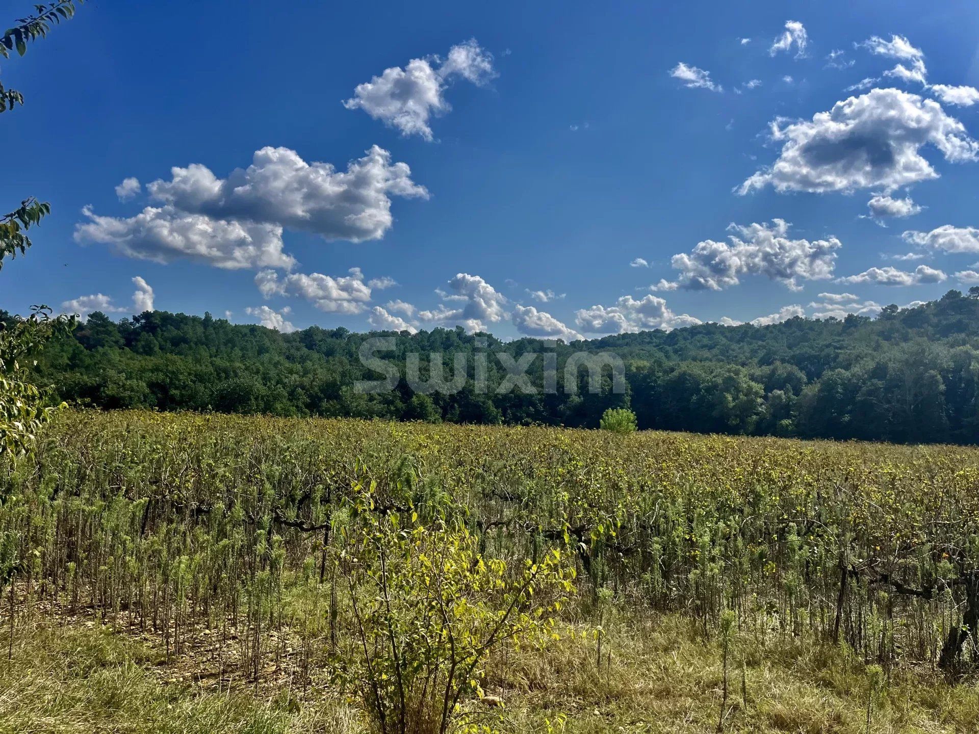 mas 8 Pièces en vente sur La Garde-Adhémar (26700)