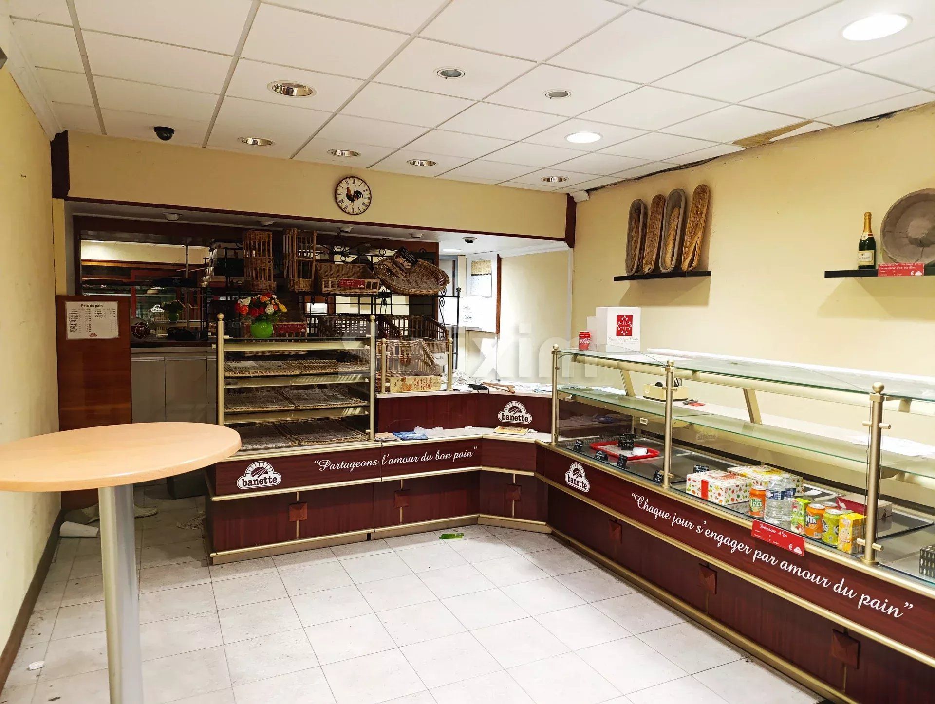 immeuble 12 Pièces en vente sur Lavelanet (09300)