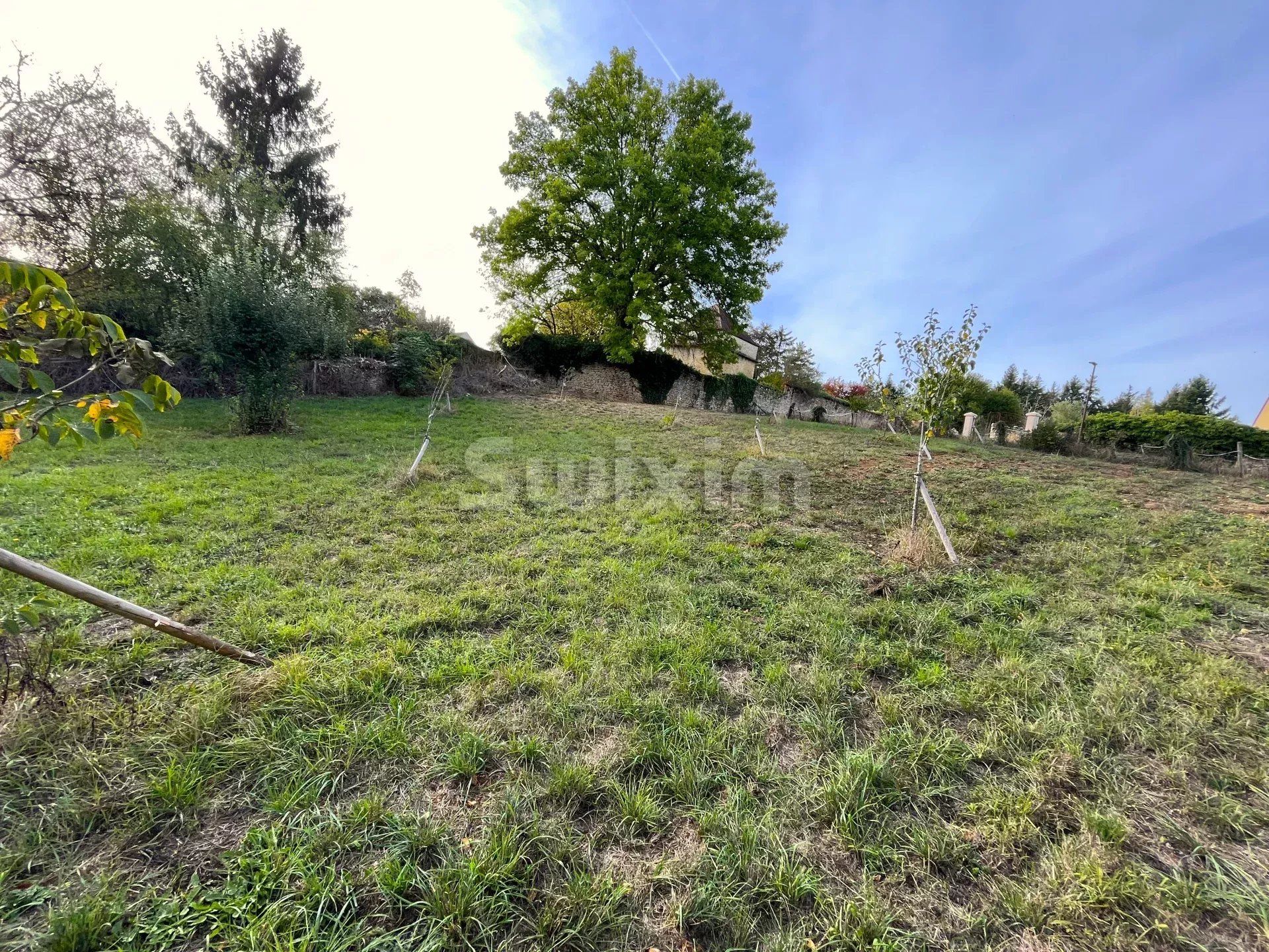 terreno in vendita su L'Isle-sur-Serein (89440)