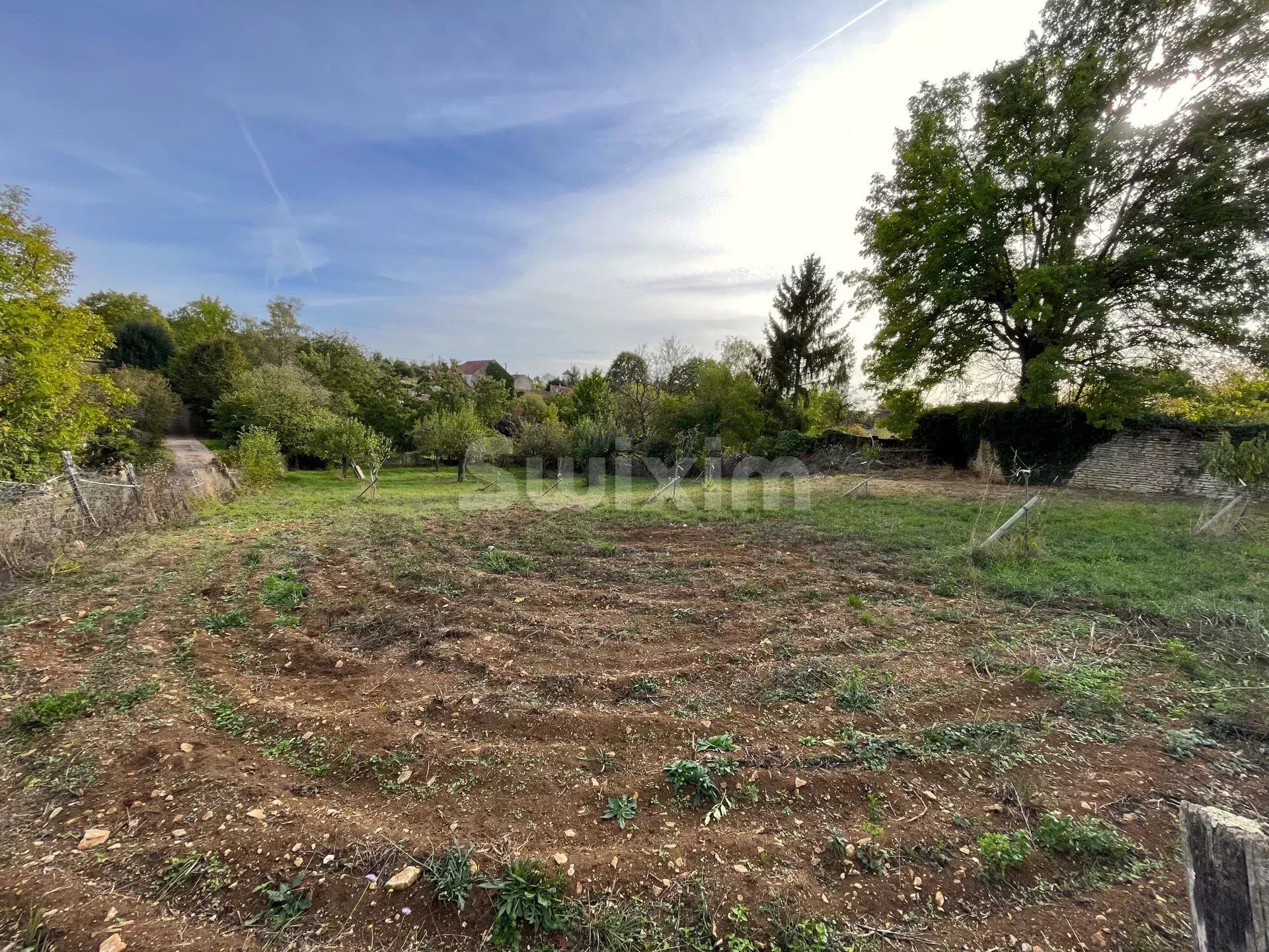 terreno in vendita su L'Isle-sur-Serein (89440)