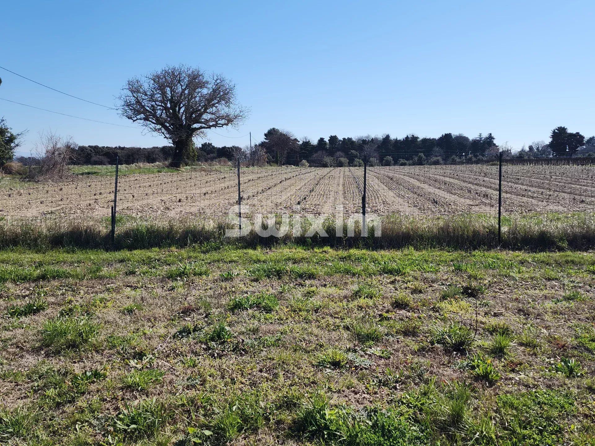haus 5 Zimmer zum verkauf auf Taulignan (26770)