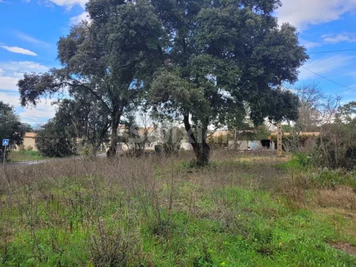 Vente Terrain Saint-Quentin-la-Poterie 919 m²