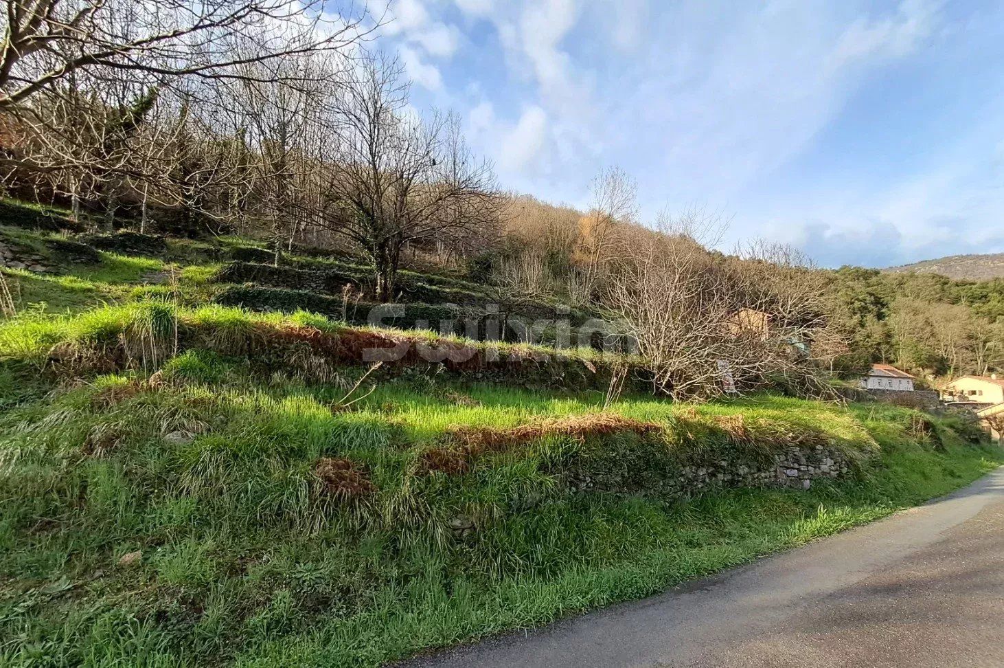 terreno en venta en Villefort (48800)