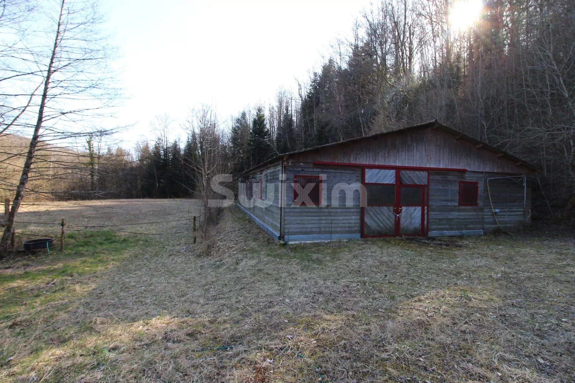 ferme 11 Pièces en vente sur Giromagny (90200)