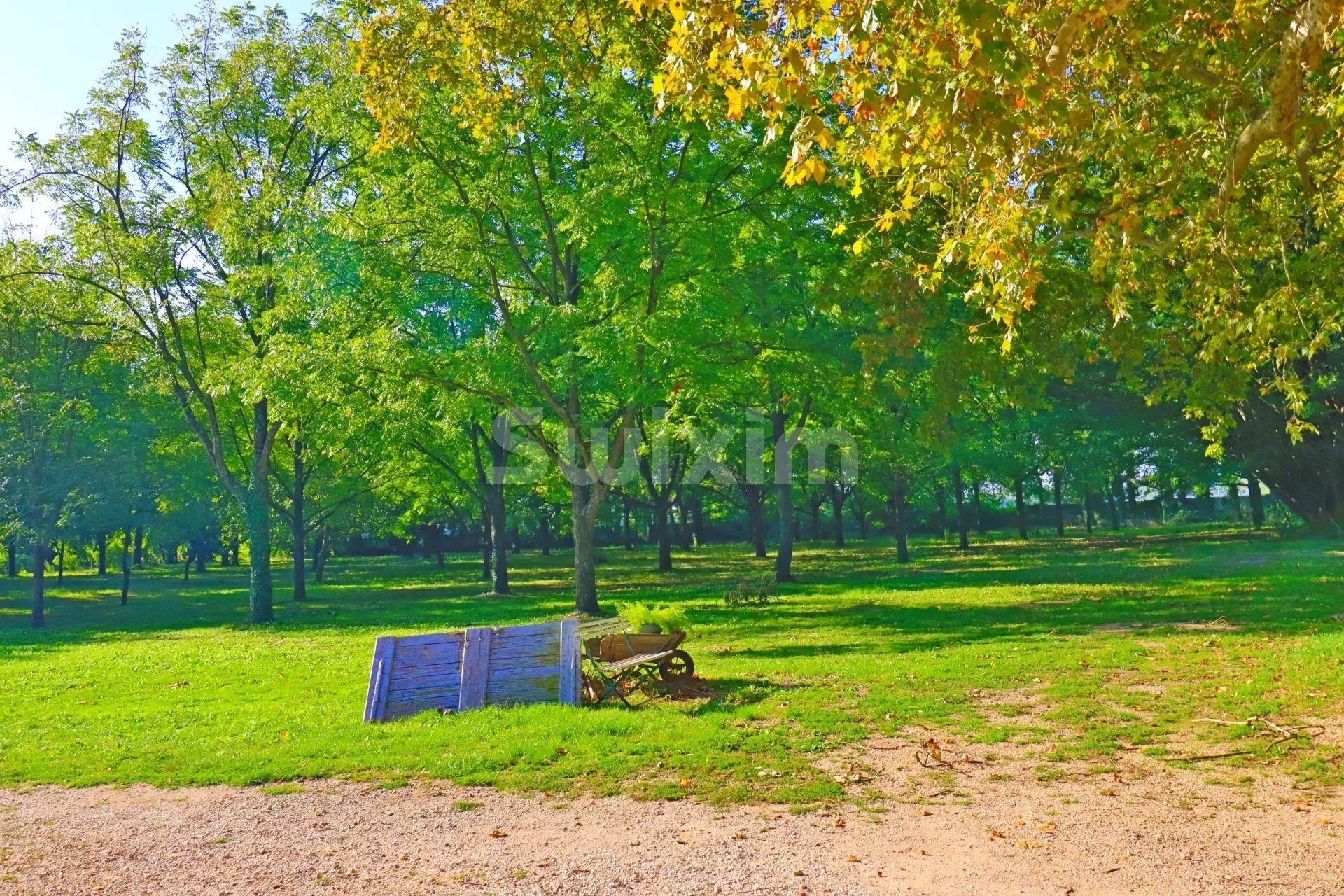 proprietà 25 Camere in vendita su Montélimar (26200)