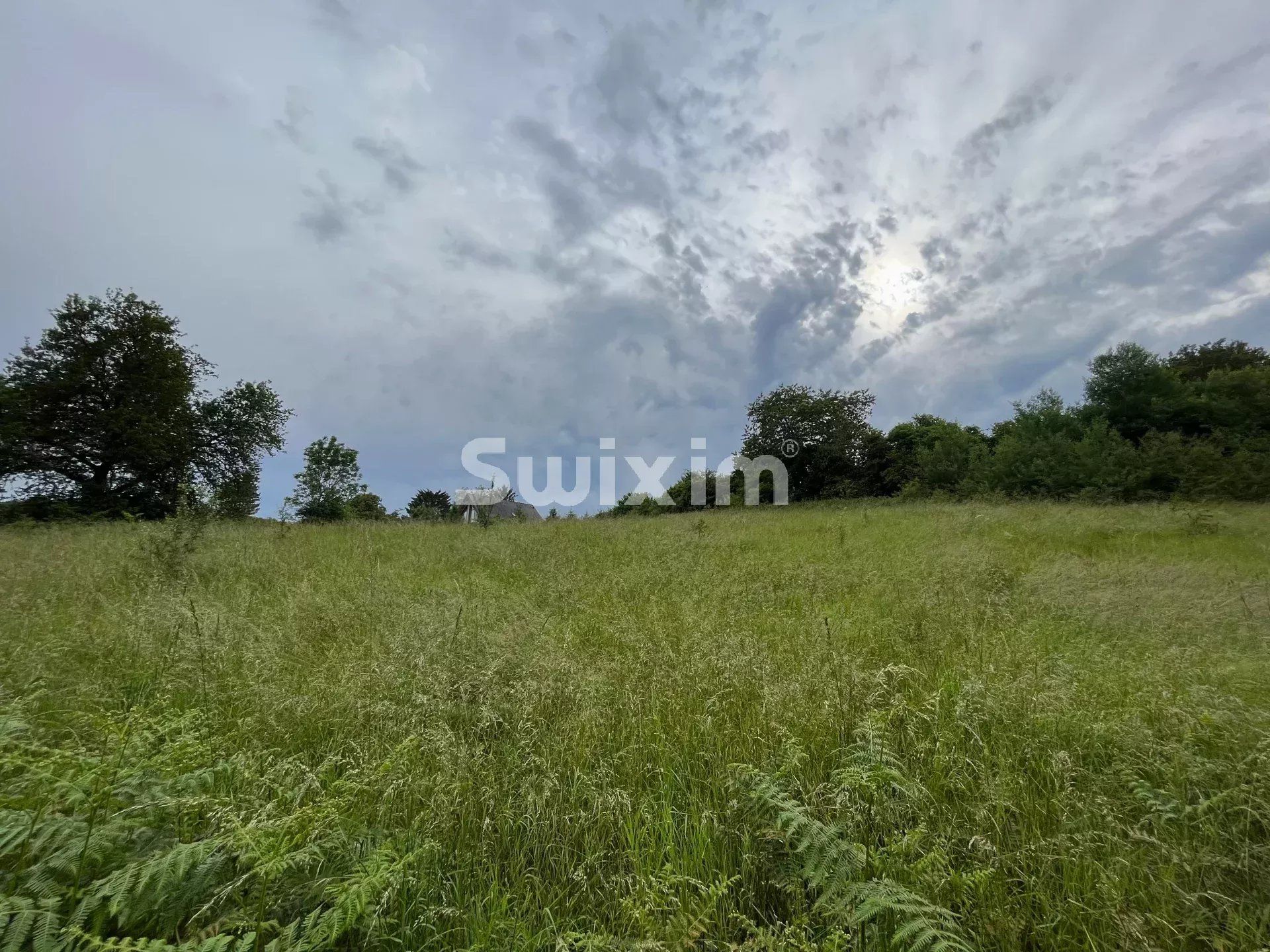 terrain en vente sur Brassy (58140)