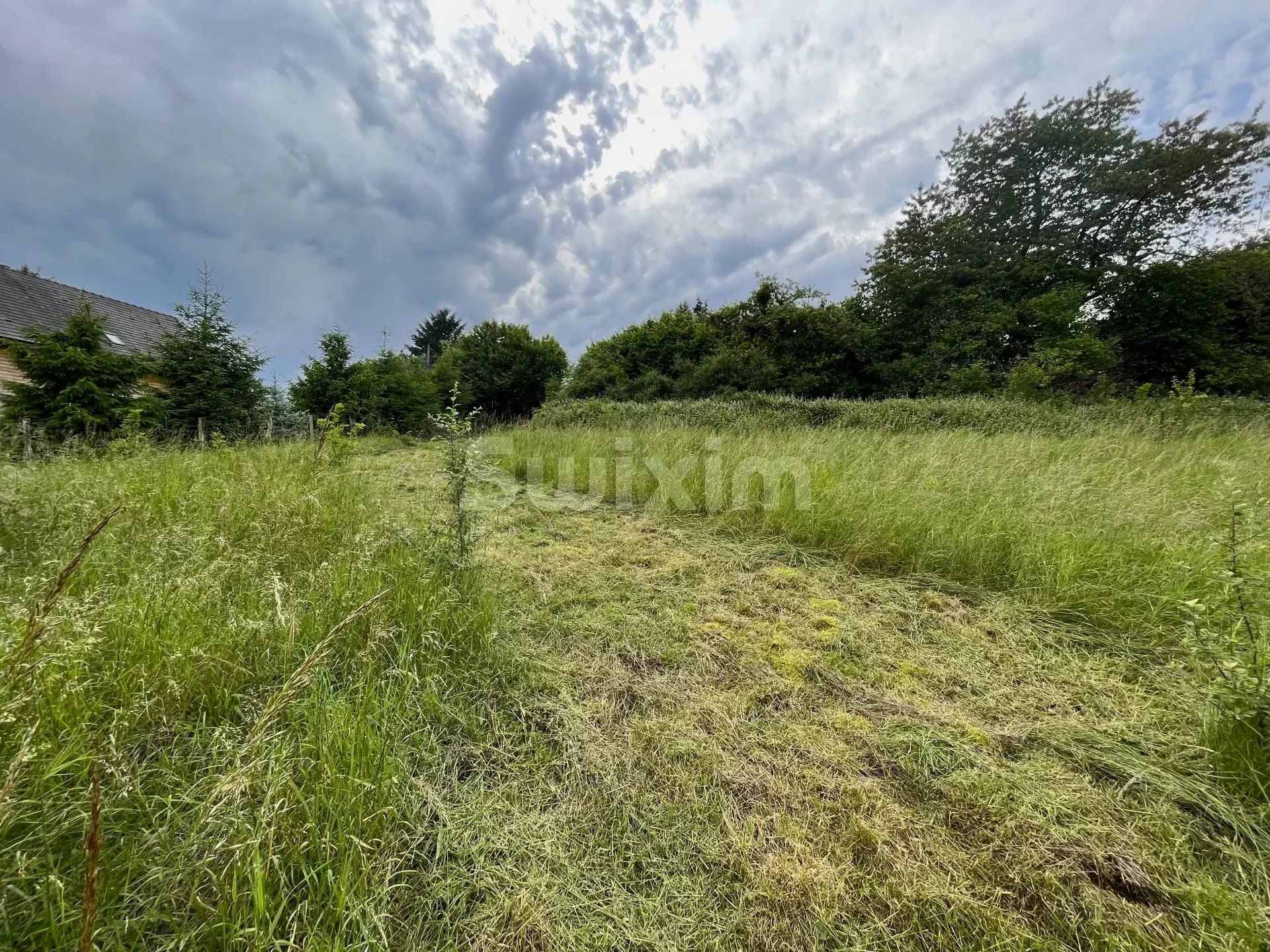 terrain en vente sur Brassy (58140)