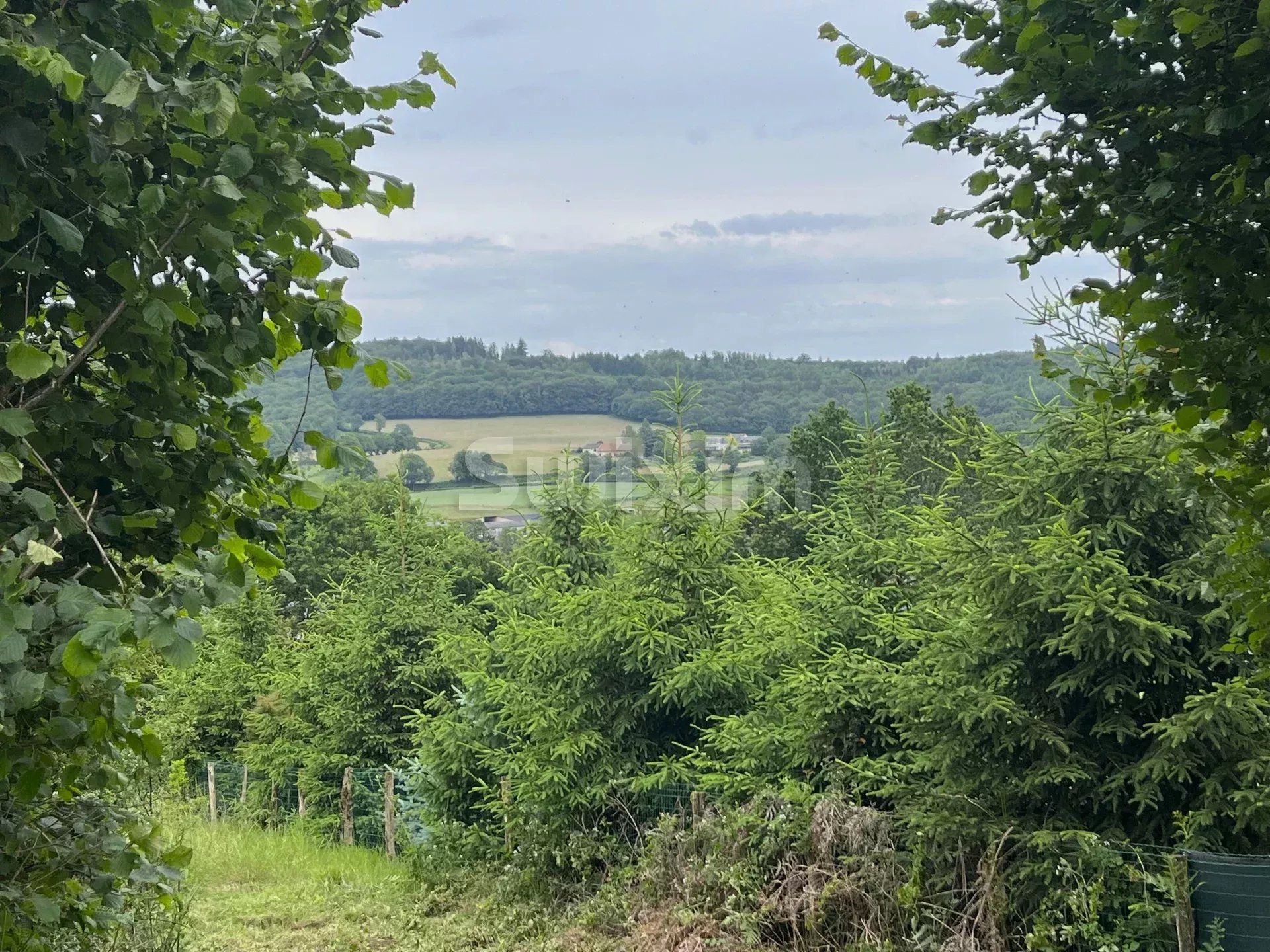 terrain en vente sur Brassy (58140)