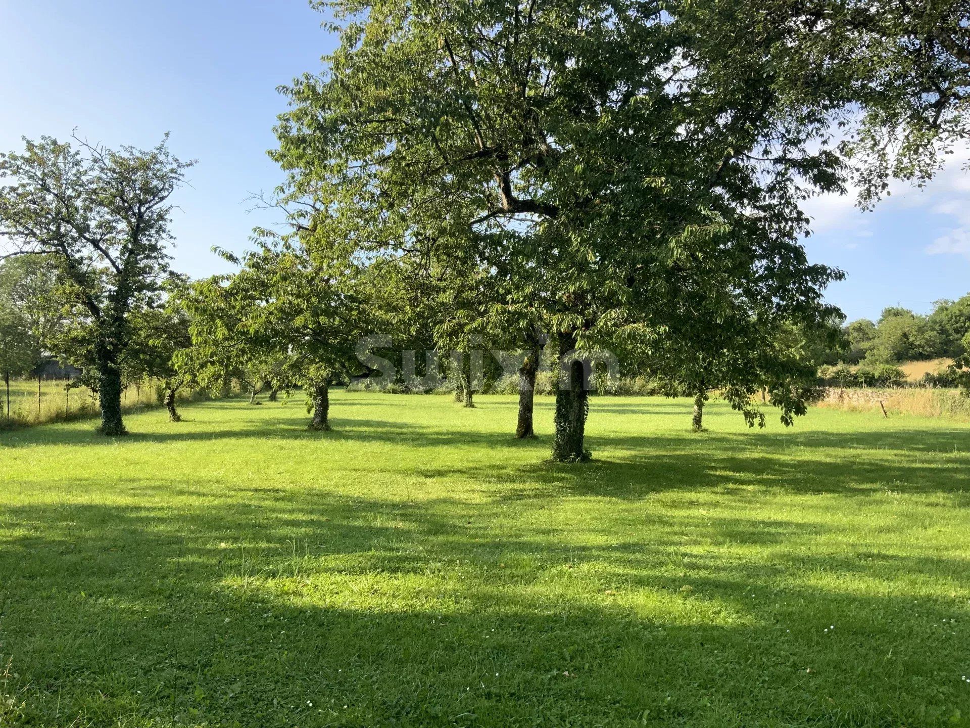 maison 8 Pièces en vente sur Montigny-Mornay-Villeneuve-sur-Vingeanne (21610)