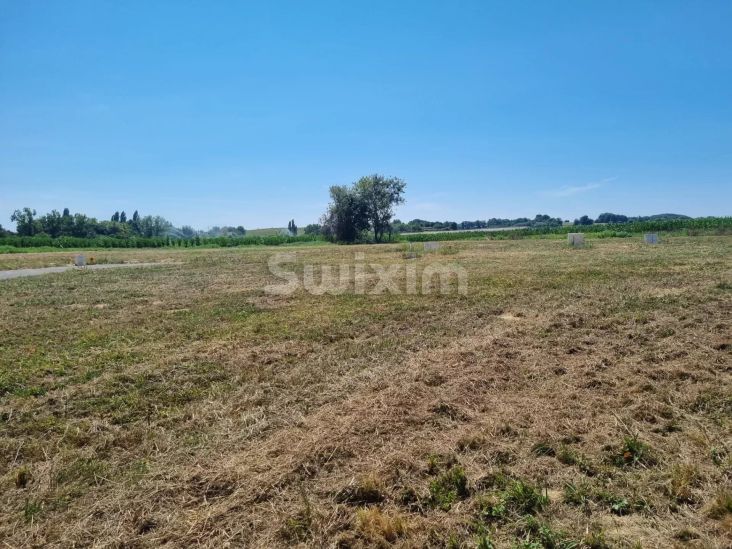 Vente Terrain à bâtir Labets-Biscay 1 pièce 1003 m²