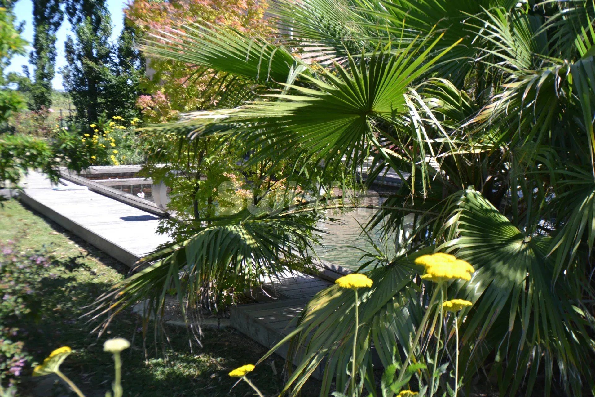 house 10 Rooms life annuity on Saint-Laurent-d'Aigouze (30220)