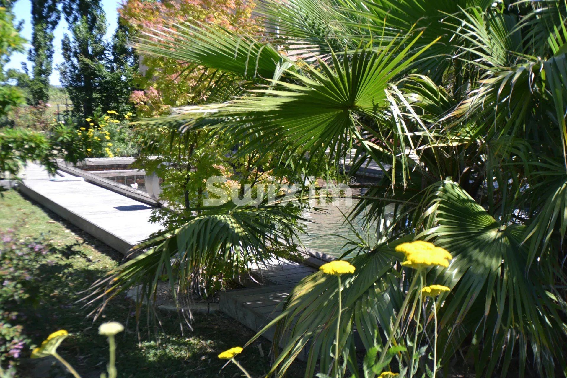 casa 10 Camere in cambio di un vitalizio su Saint-Laurent-d'Aigouze (30220)