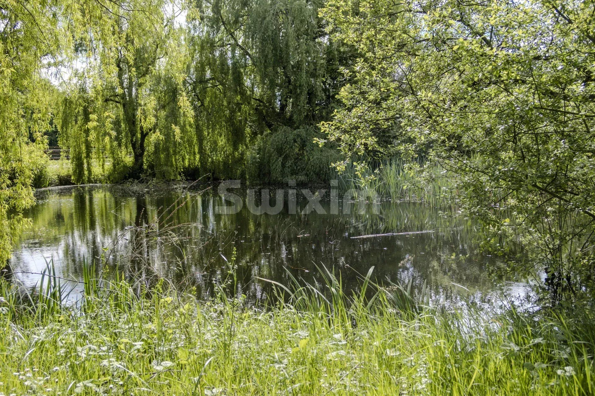 proprietà 9 Camere in vendita su Chalon-sur-Saône (71100)