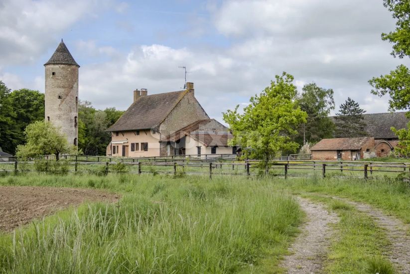 Vendita Proprietà Chalon-sur-Saône 9&nbsp;Camere 289&nbsp;m²