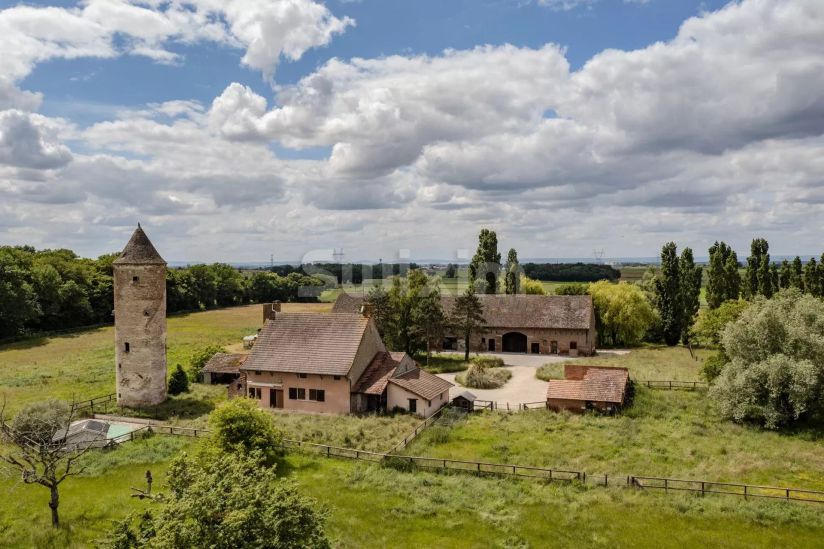 Vendita Proprietà Chalon-sur-Saône 9&nbsp;Camere 289&nbsp;m²