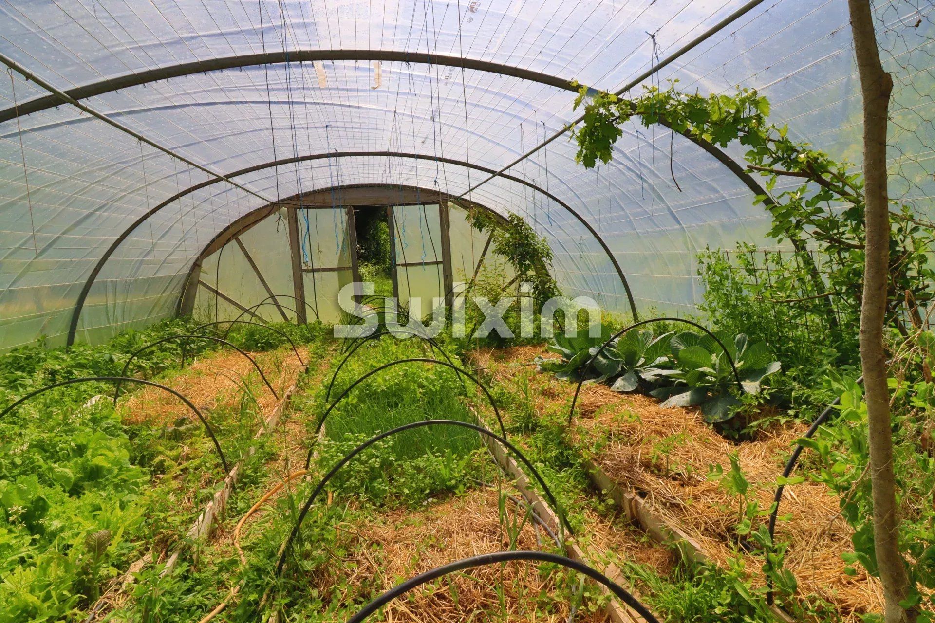 property 14 Rooms for sale on Saint-Benoit-en-Diois (26340)