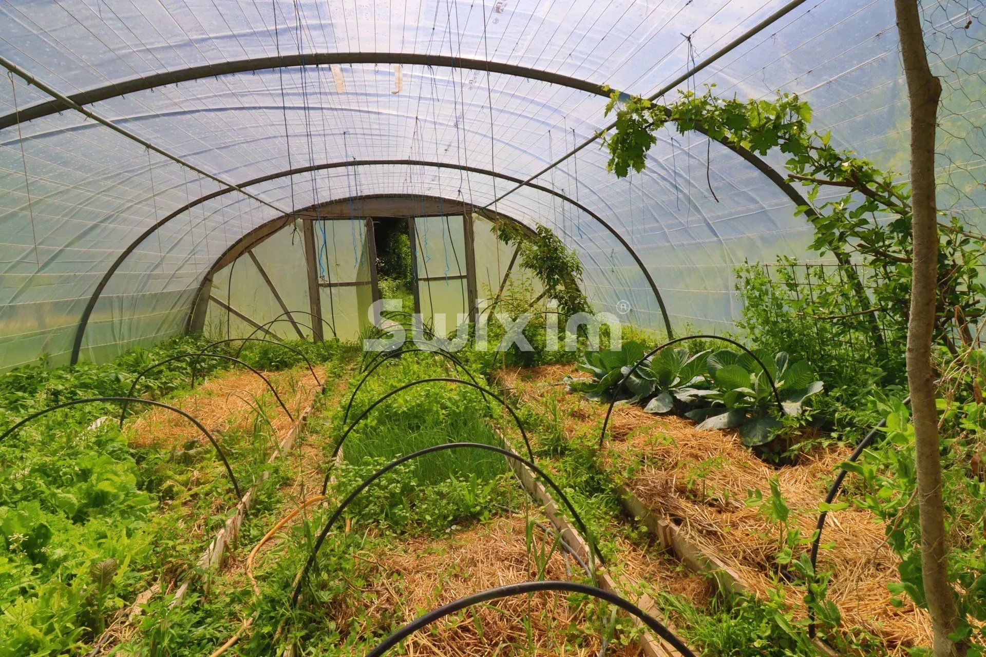 propriété 14 Pièces en vente sur Saint-Benoit-en-Diois (26340)