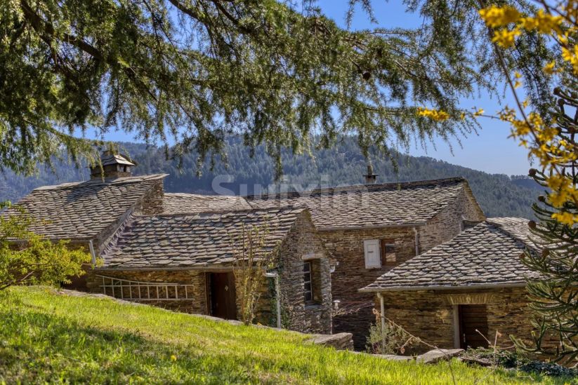 Sale Mas Alès 8 Rooms 175 m²