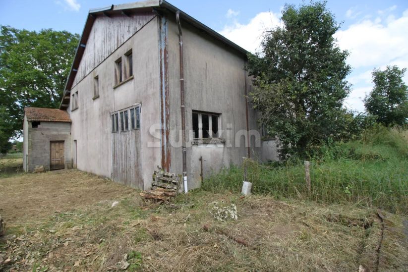 Vente Local d'activité Blevaincourt 2 Pièces 195 m²