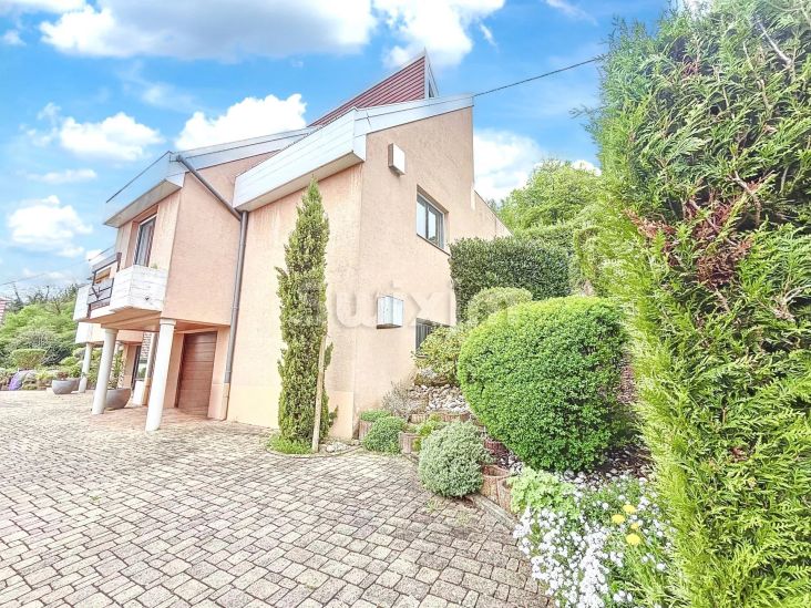 Vente Maison Colmar 9 Pièces 300 m²