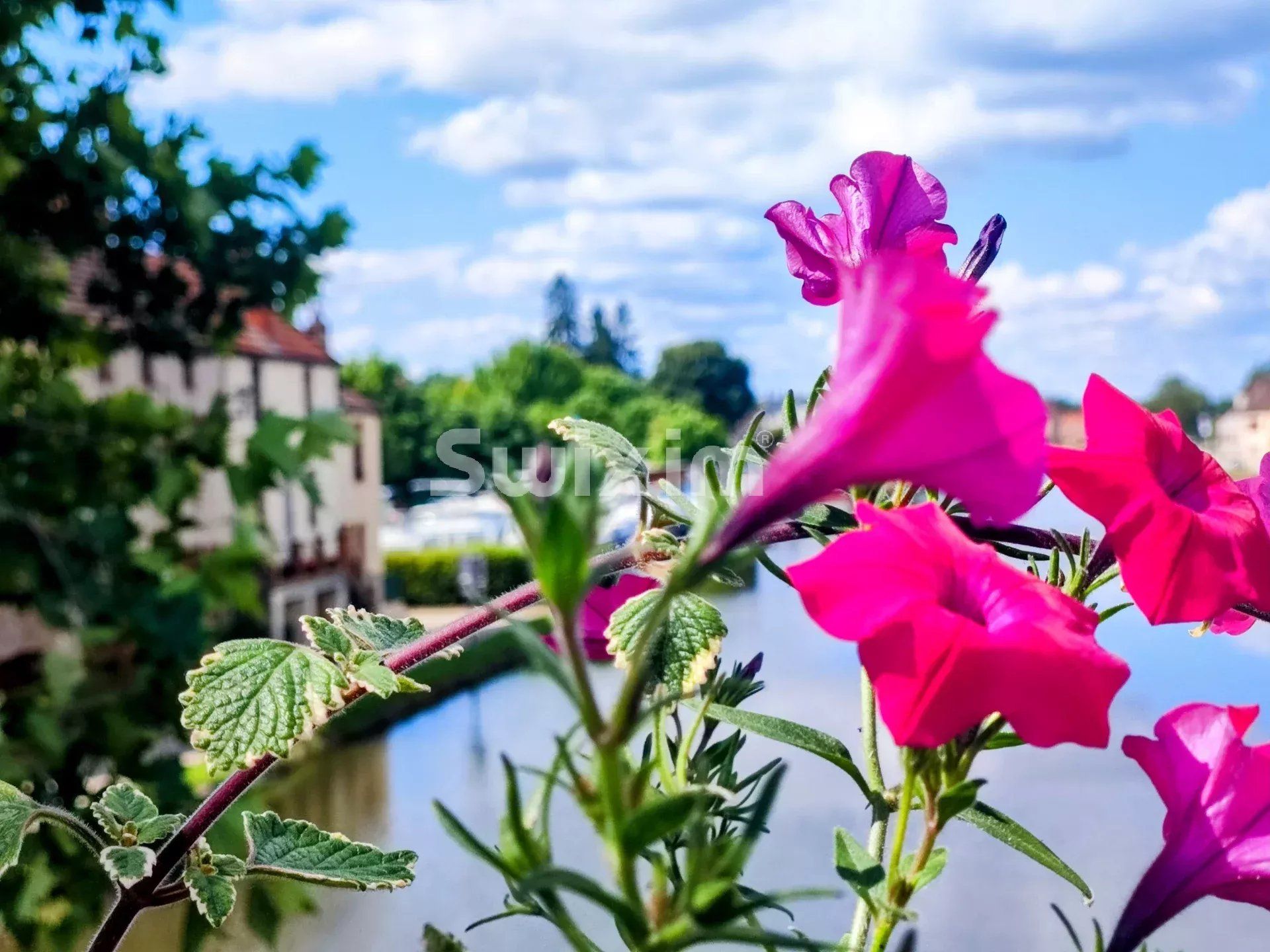 propriété 14 Pièces en vente sur Santenay (21590)