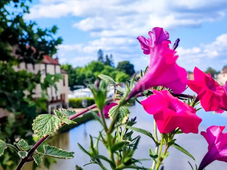 Vente Propriété Santenay 14&nbsp;Pièces 470&nbsp;m²