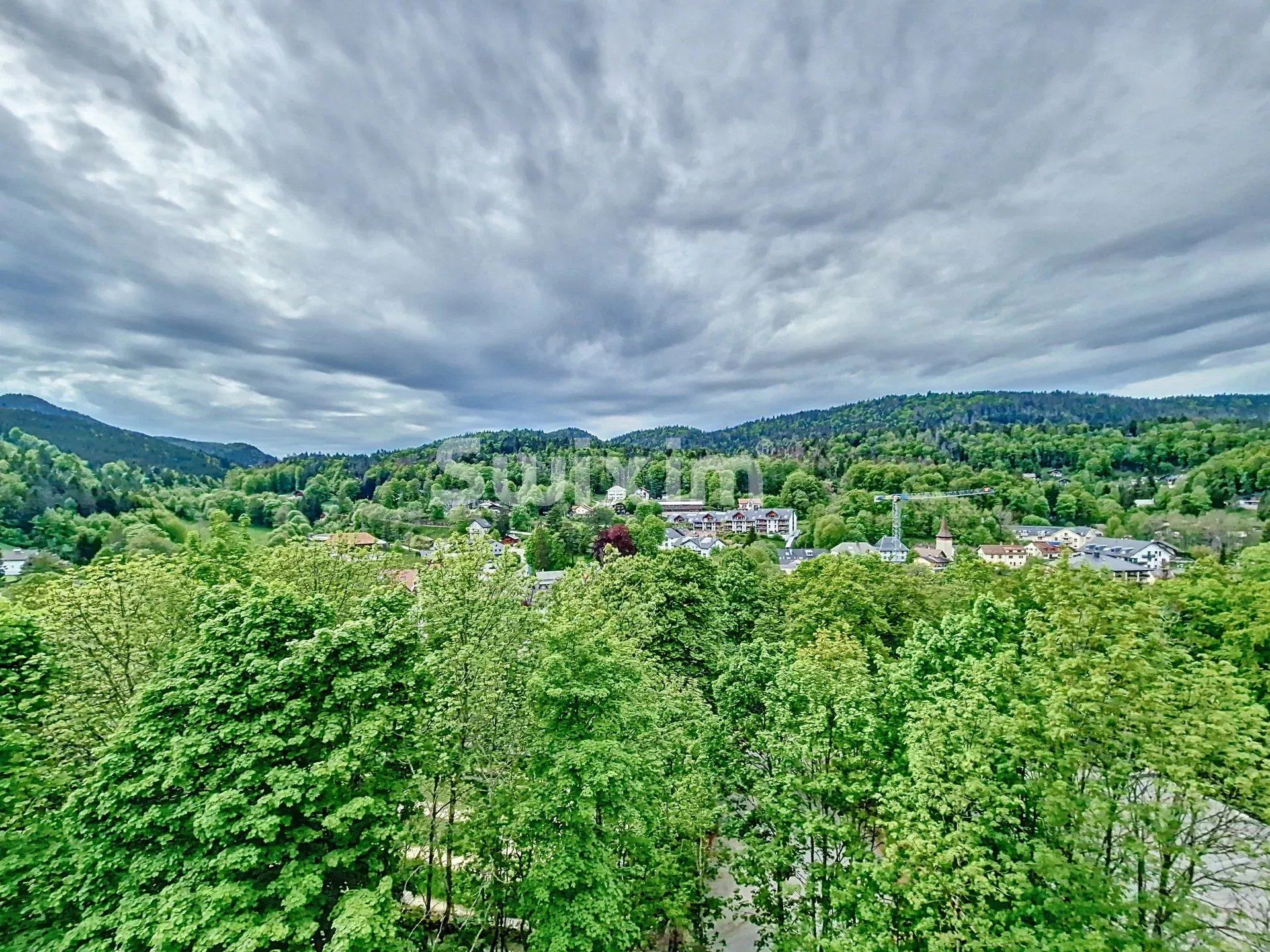 appartement 2.5 Pièces en vente sur Saint-Cergue (1264)