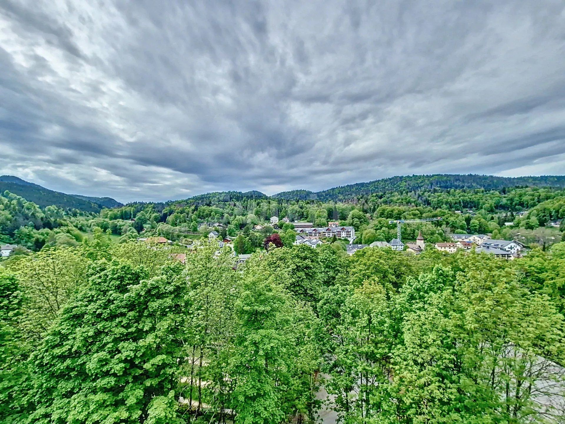 apartment 2.5 Rooms for sale on Saint-Cergue (1264)