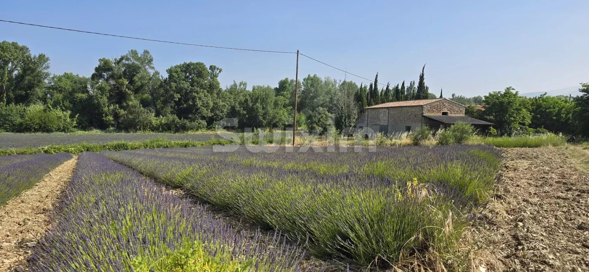 fattoria 9 Camere in vendita su Taulignan (26770)