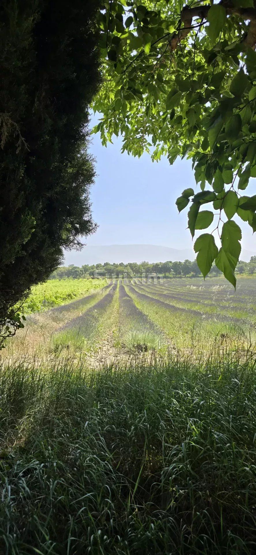 fattoria 9 Camere in vendita su Taulignan (26770)