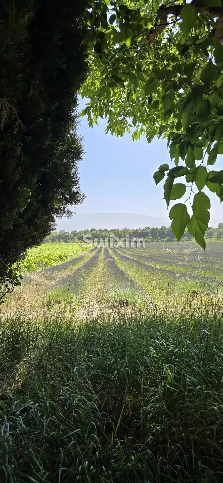 casa de campo 9 Quartos para venda sobre Taulignan (26770)