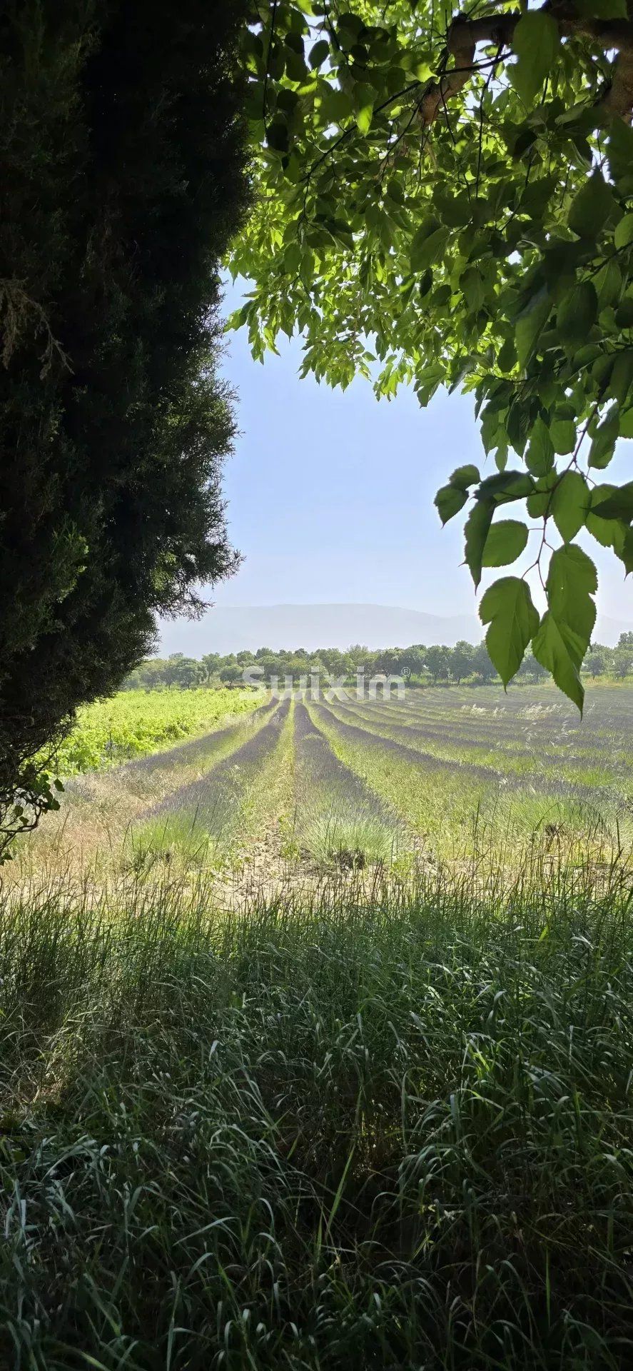fattoria 9 Camere in vendita su Taulignan (26770)