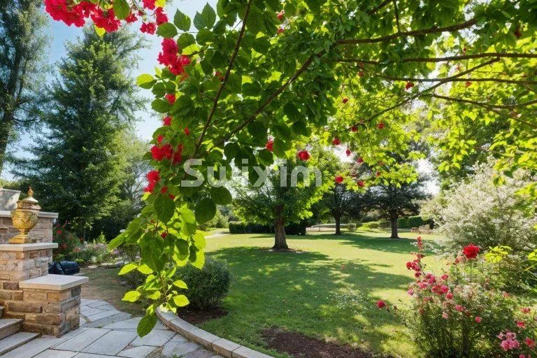 proprietà 12 Camere in vendita su Beaune (21200)