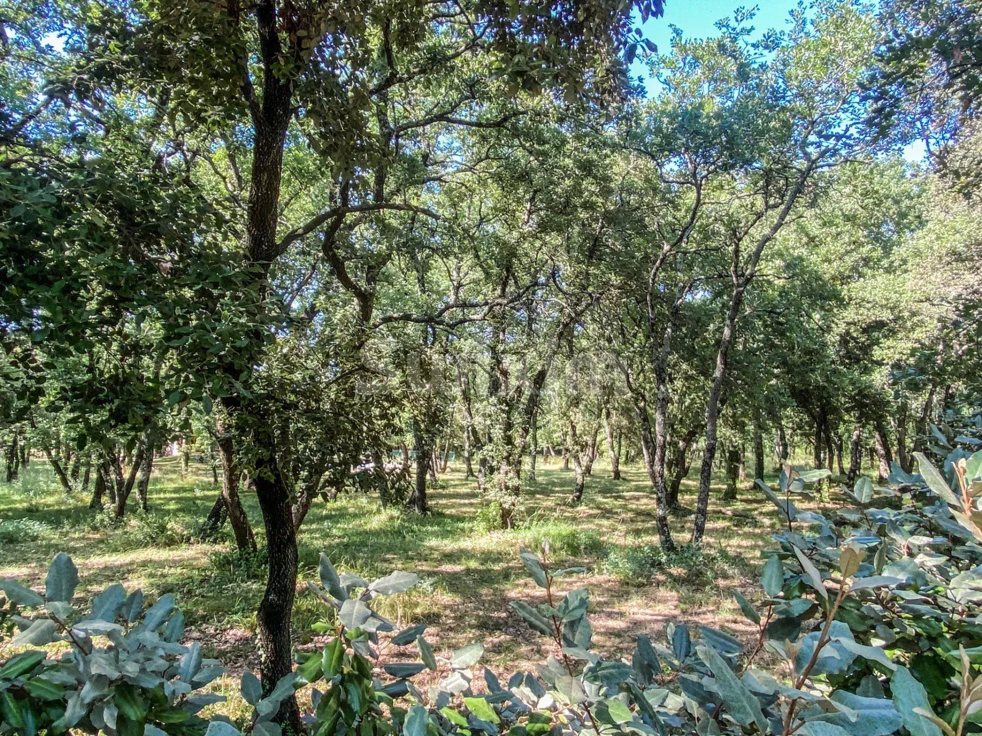 terrain en vente sur Saint-Siffret (30700)