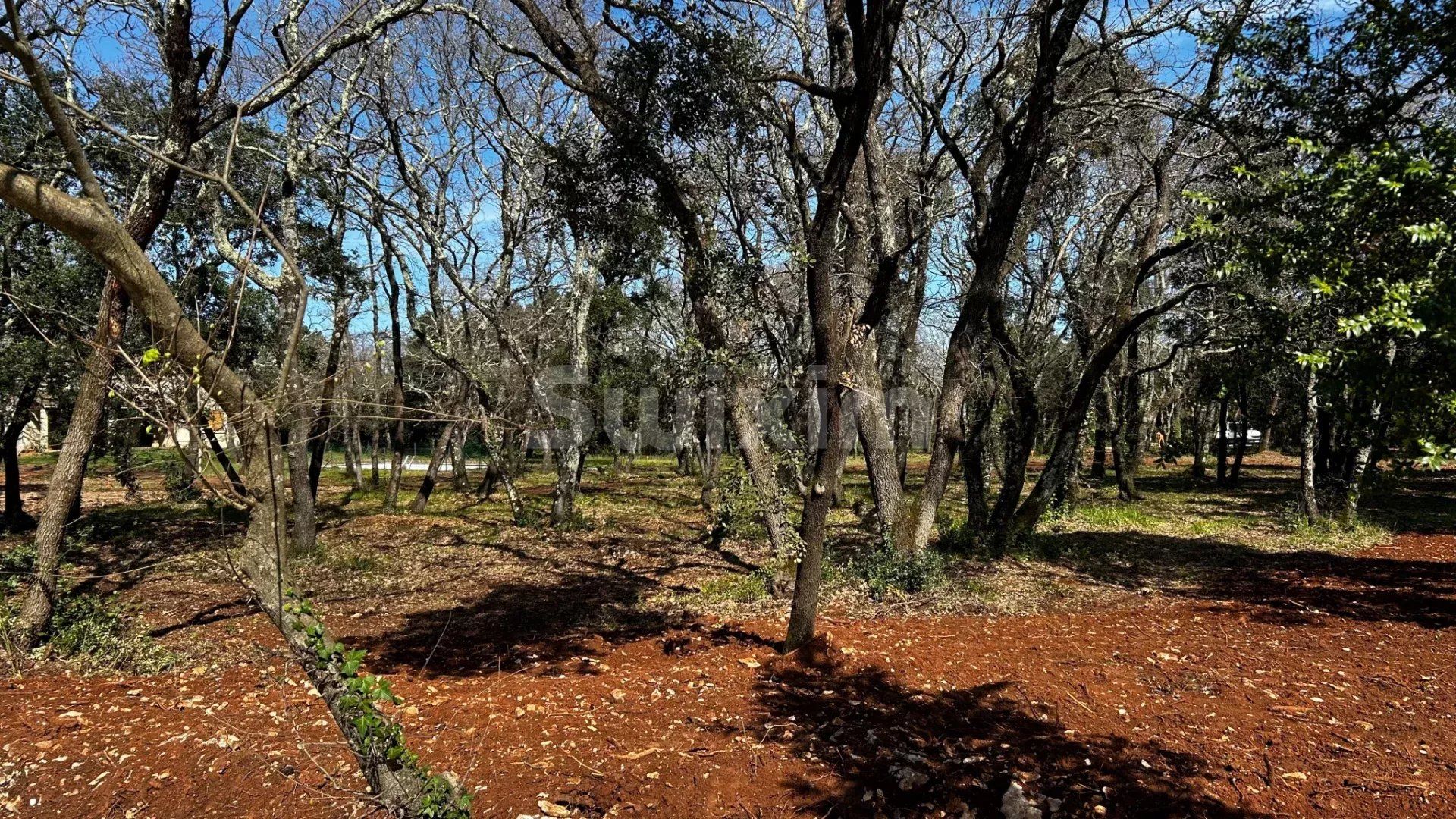 land for sale on Saint-Siffret (30700)