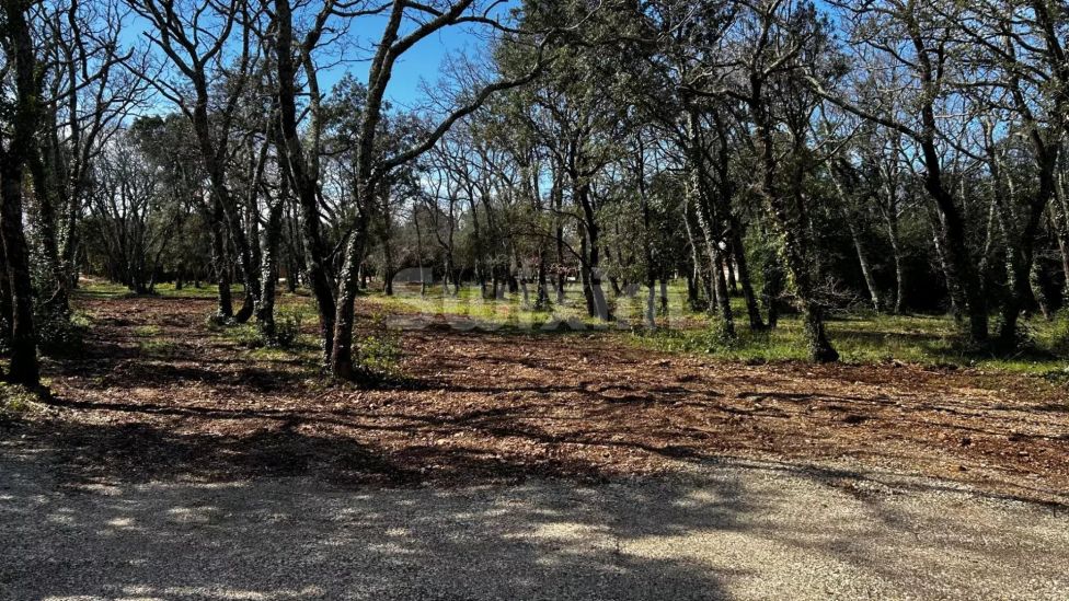 Sale Land Saint-Siffret 937&nbsp;m²